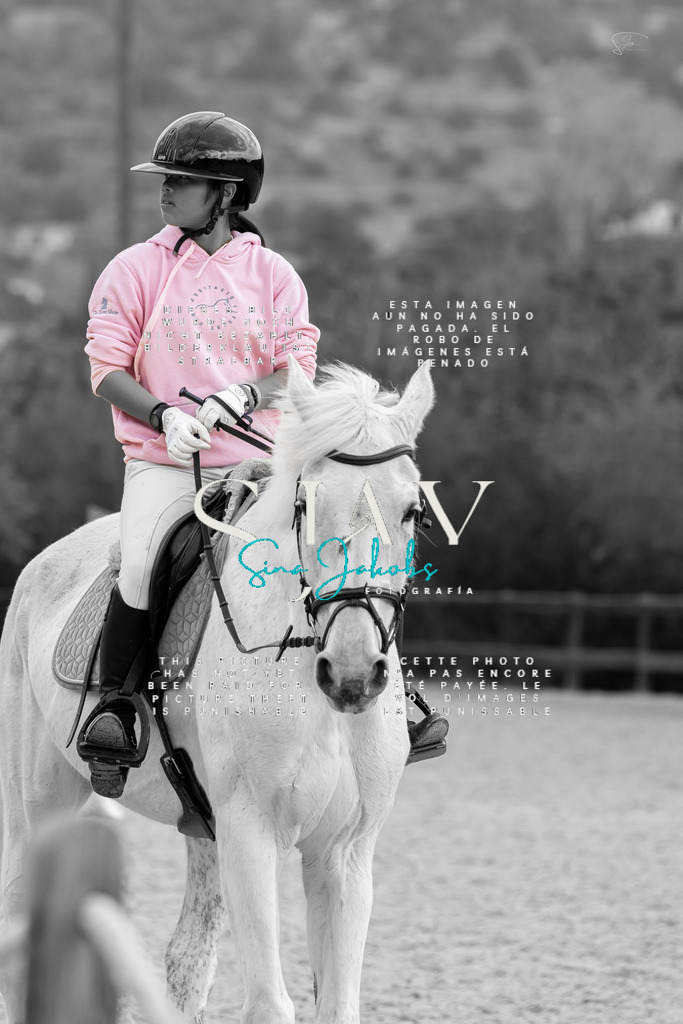 IMG_4779 | s-jay-photography - Realisiert mit Pictrs.com