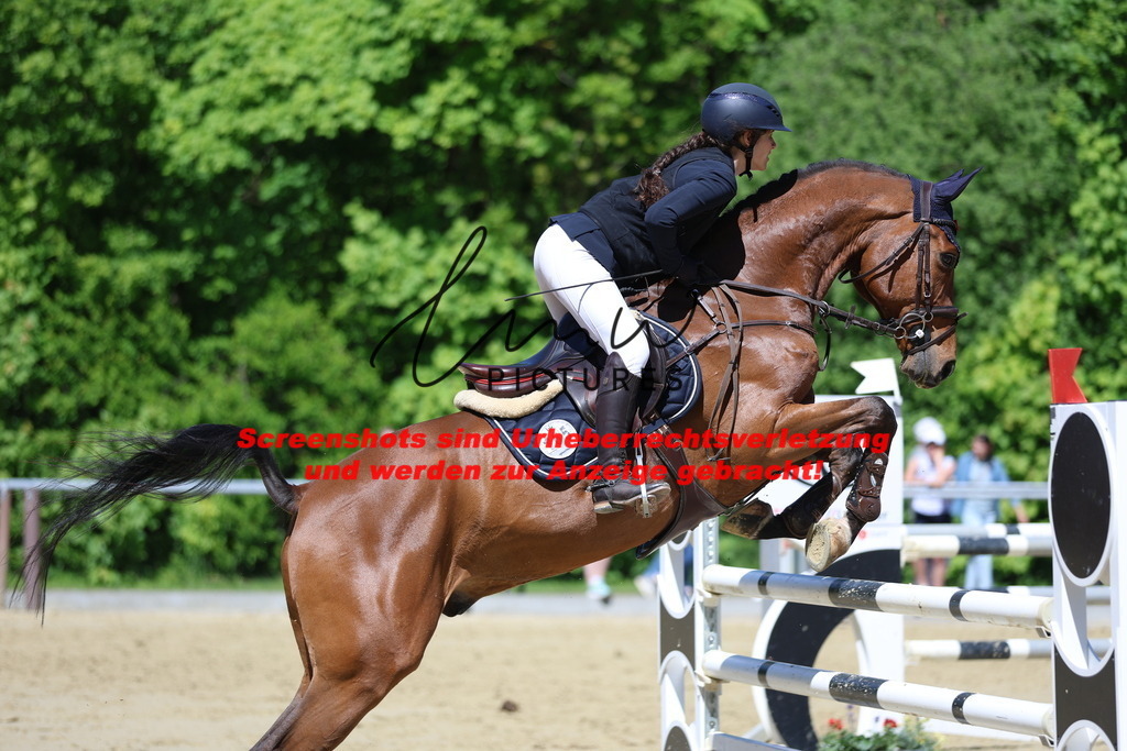 M05A6327 | lmwpictures - Realisiert mit Pictrs.com