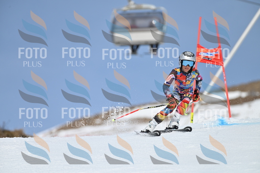 BGV_1003 | holidayphoto