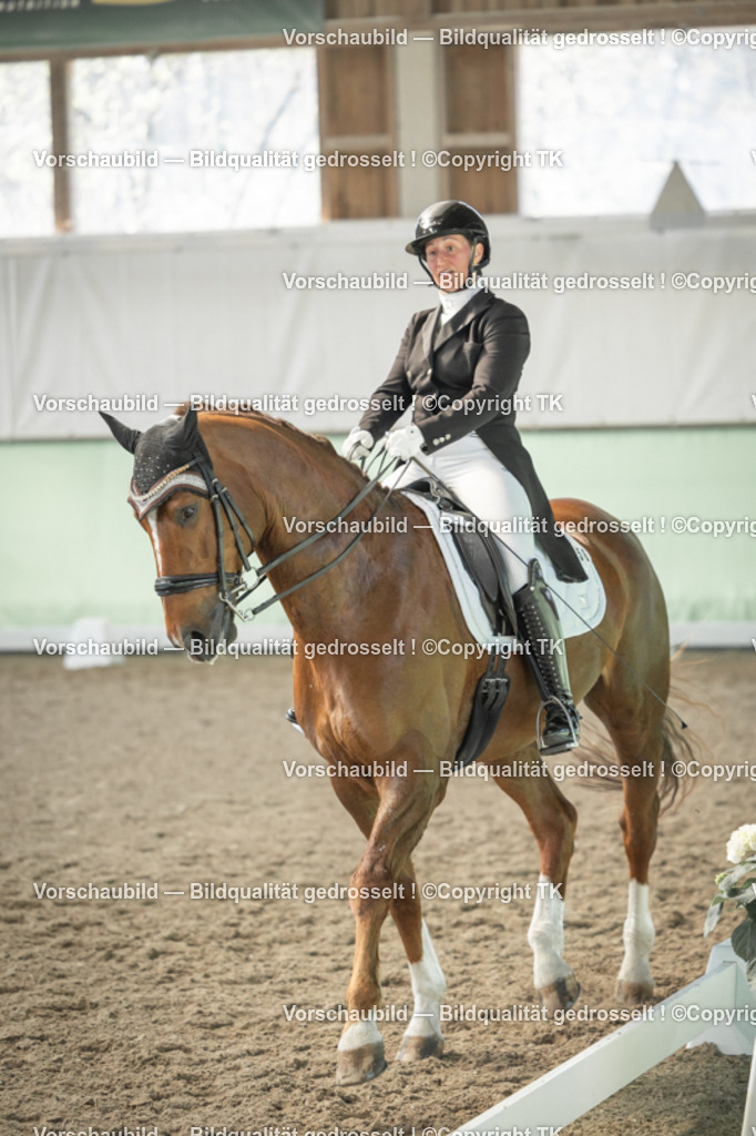 _D5A2221 | Emotionale Pferde- & People-Fotografie rund um Heidelberg, Leimen & Umgebung. Natürliche Fotos von Pferd, Mensch & Familie. Jetzt Termin sichern!