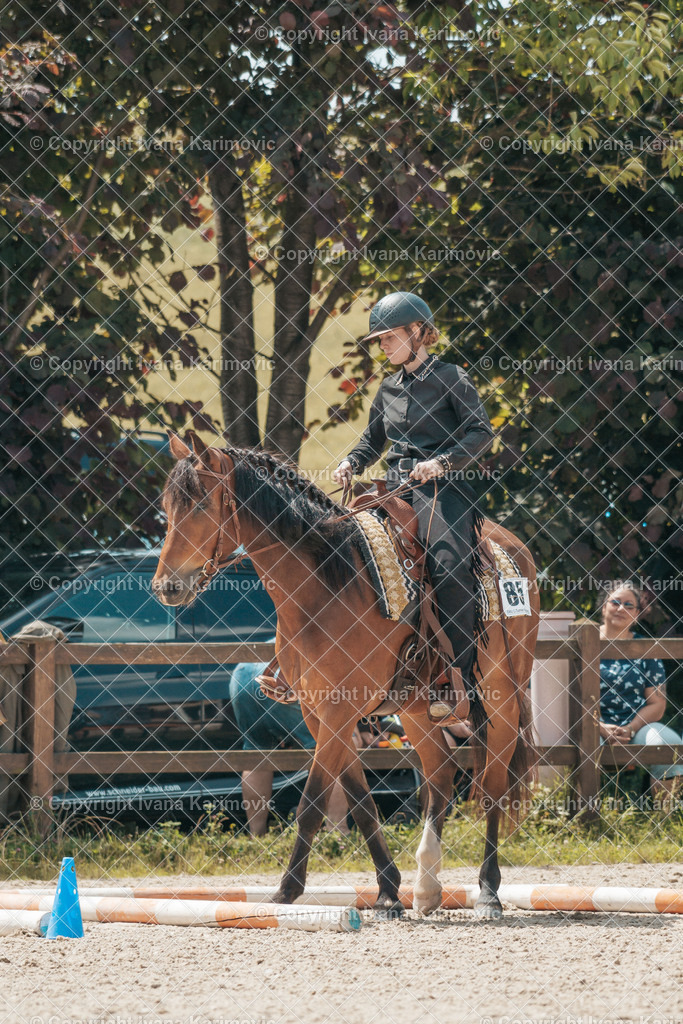 DSC00281 | ikphotography - Realisiert mit Pictrs.com