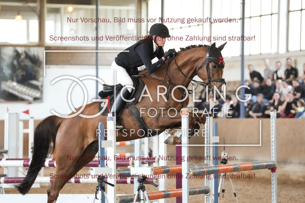 DSC00167 | Reitturnier_Göppingen_April_2026, Merrit_reiniger, Central_fox