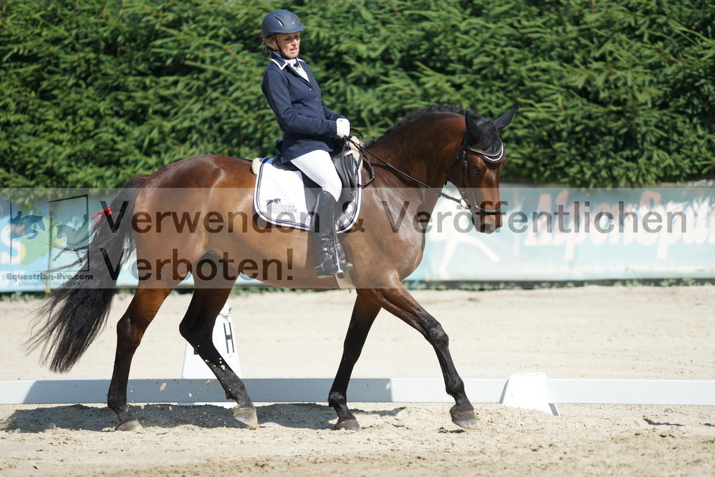 DSC02979 | equestrian-live-com