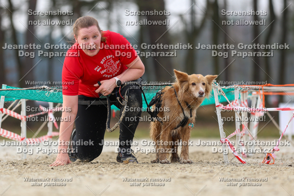 Dog Paparazzi - Strongdog North Mrz26-4408 | Dog Paparazzi Jeanette Grottendiek Fotografie & Videografie - Realisiert mit Pictrs.com