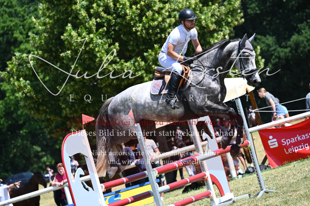 DSC_0547 | Pferde- und Turnierfotografie in Westsachsen. Pferdeportraits, Auftragszeichnungen und intuitive Kunst.