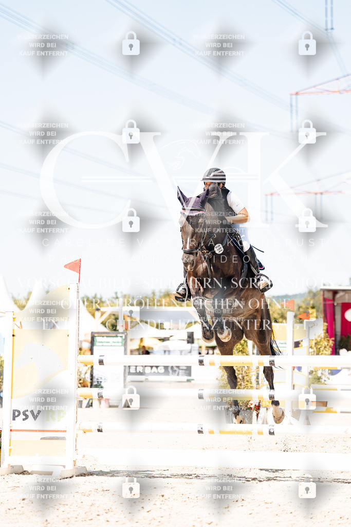 CK909732 | Turnierfotografie Pferdefotografie Trier Rheinland-Pfalz Pferdesport Reitsport Tierfotografie Sportfotografie Pferdevideo Pferdevideografie Equestrianvideography equestrianphotography  - Realisiert mit Pictrs.com