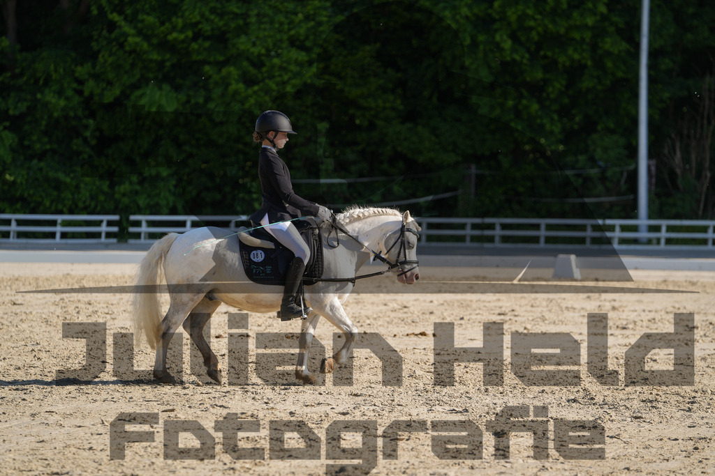 DSC02784 | Julian Held Fotografie - Realisiert mit Pictrs.com