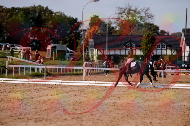 2026_10_03_Siefer-Hof_120635_Z81_07362877 | Professionelle Reitsport-, Turnier- und Eventfotografie von Robert Broda. Galerien mit ausgewählten und bearbeiteten Bildern direkt online ansehen und bestellen.