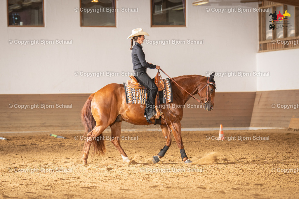 LMS06526 | BS-foto