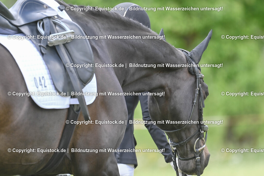 20250516_Impressionen_0080 | Foto: Thomas Hartig