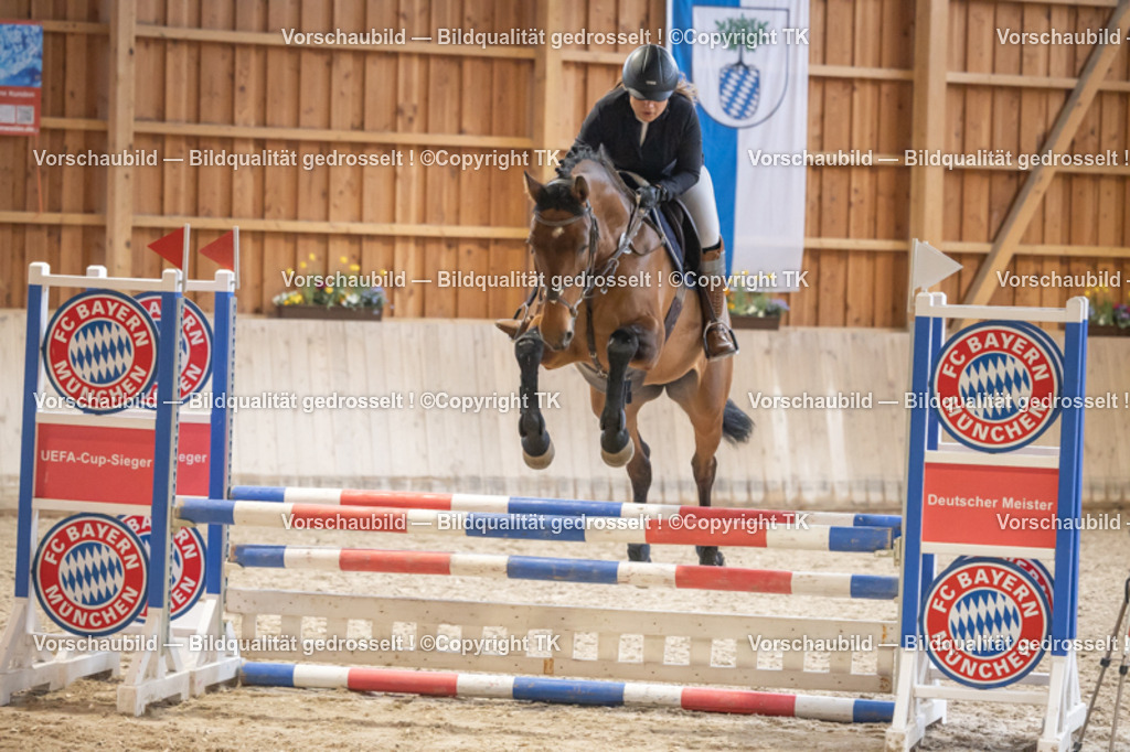 _D5A7324 | Emotionale Pferde- & People-Fotografie rund um Heidelberg, Leimen & Umgebung. Natürliche Fotos von Pferd, Mensch & Familie. Jetzt Termin sichern!