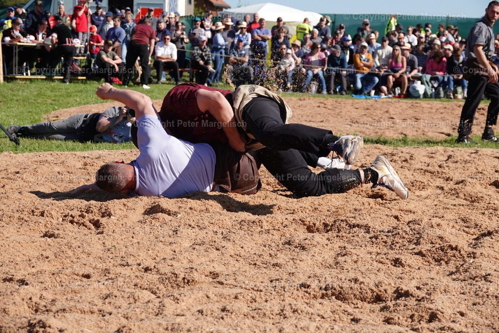 DSC00886 | Schwingen - Realisiert mit Pictrs.com