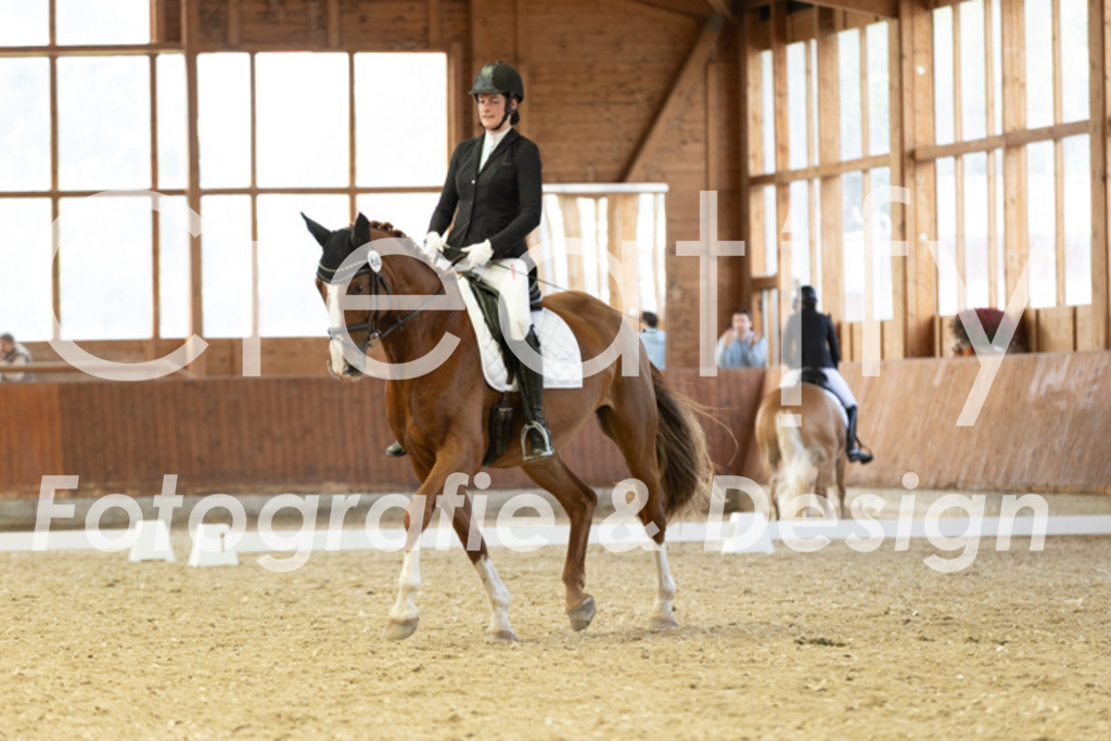 IMG_5809 | Creatify Fotografie