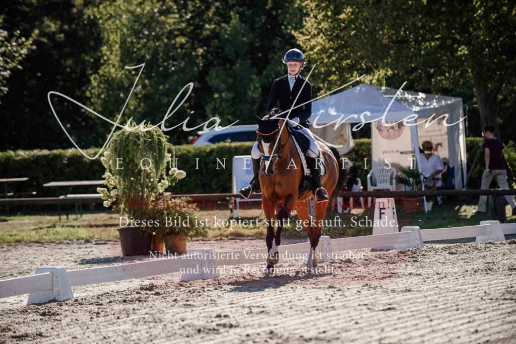 DSC_0343 | Pferde- und Turnierfotografie in Westsachsen. Pferdeportraits, Auftragszeichnungen und intuitive Kunst.