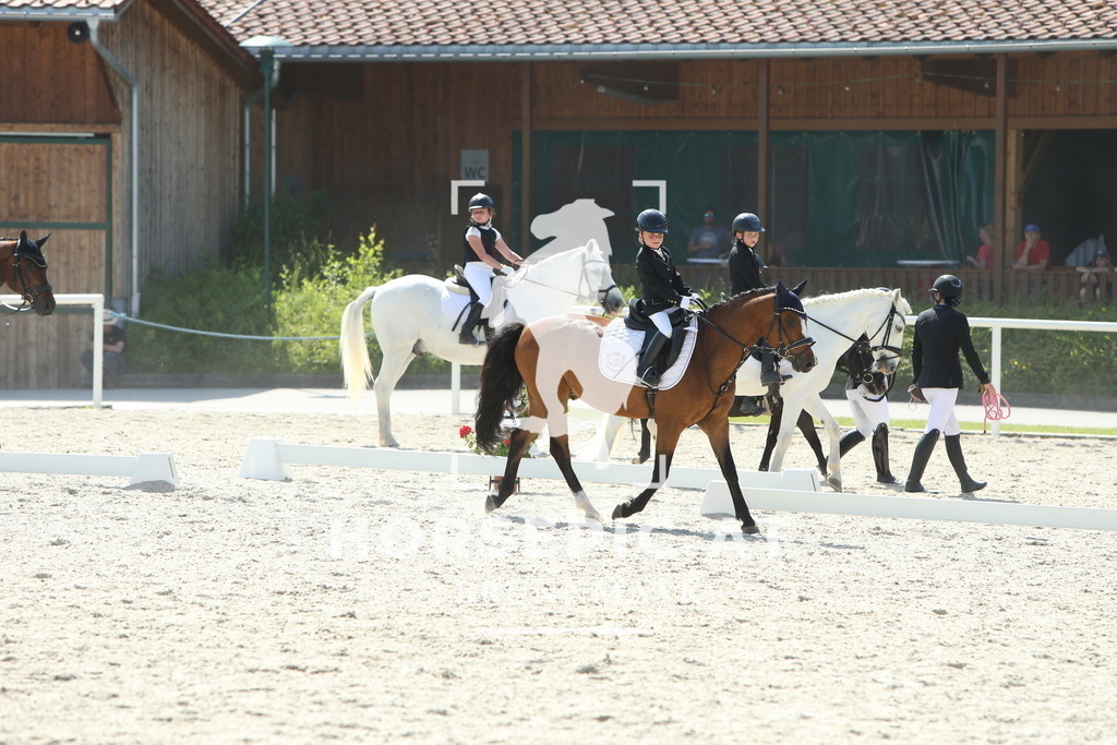 DL2Q0674 | Willkommen bei Brunnmayr - Design & Fotografie – Ihrem Spezialisten für Reitturniere und Pferdeveranstaltungen in Oberösterreich, Salzburg und Bayern! Seit über 17 Jahren sind wir leidenschaftlich dabei.