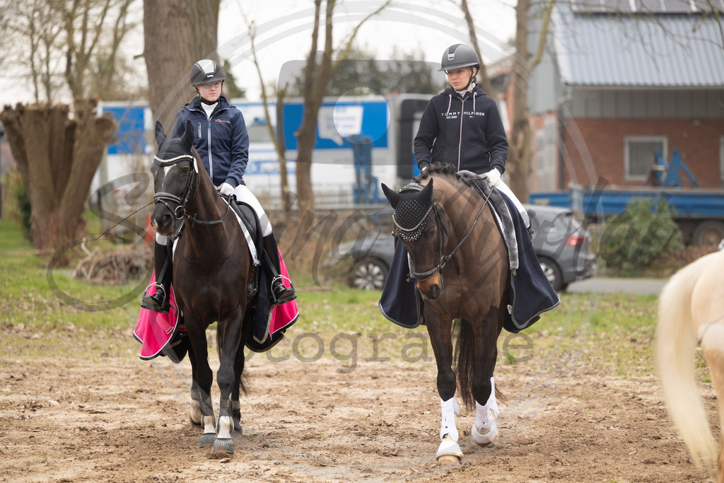 994A8649 | sabrinanicolaifotografie - Realisiert mit Pictrs.com