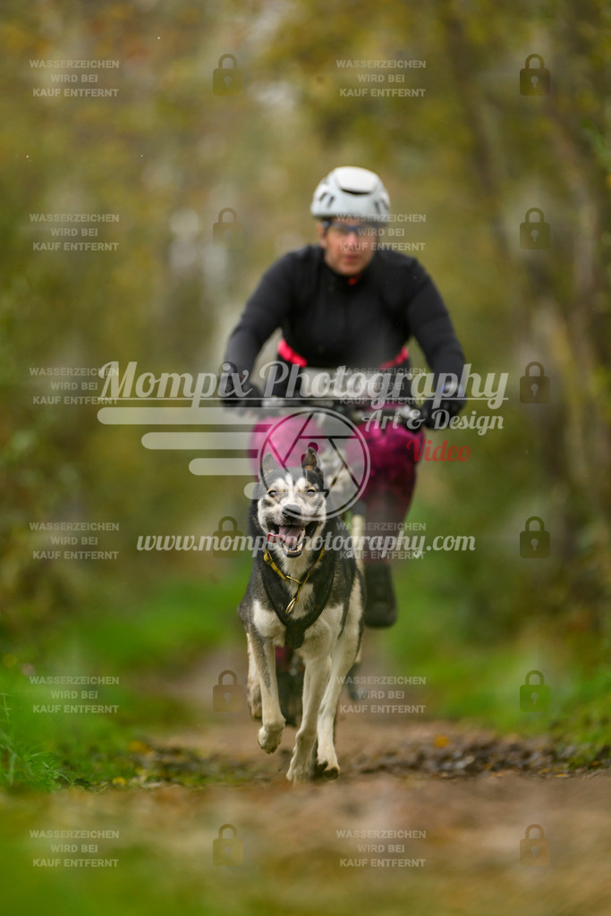 MompixPhotography_20TSB_E6_Bike-147 | PayLife