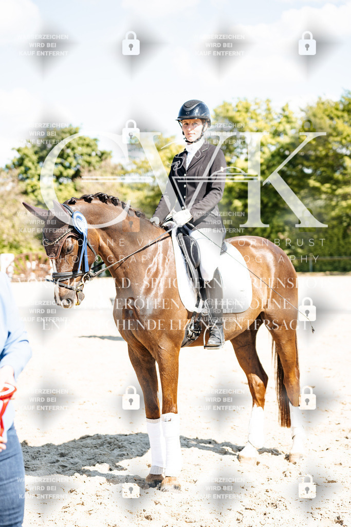 CK703563 | Turnierfotografie Pferdefotografie Trier Rheinland-Pfalz Pferdesport Reitsport Tierfotografie Sportfotografie Pferdevideo Pferdevideografie Equestrianvideography equestrianphotography  - Realisiert mit Pictrs.com