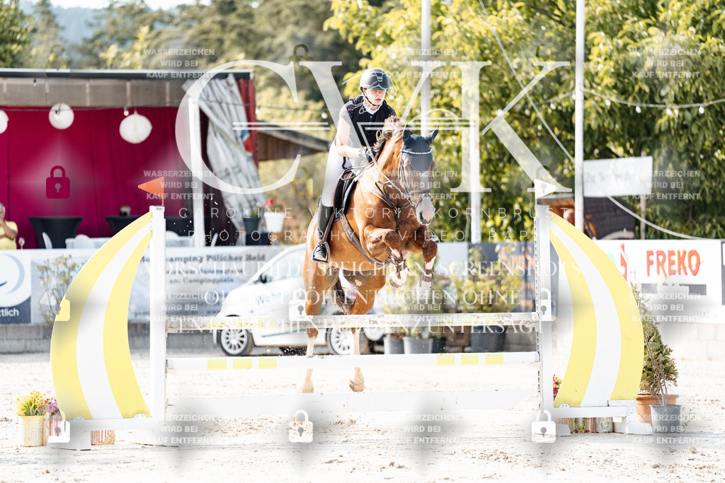 CK905724 | Turnierfotografie Pferdefotografie Trier Rheinland-Pfalz Pferdesport Reitsport Tierfotografie Sportfotografie Pferdevideo Pferdevideografie Equestrianvideography equestrianphotography  - Realisiert mit Pictrs.com