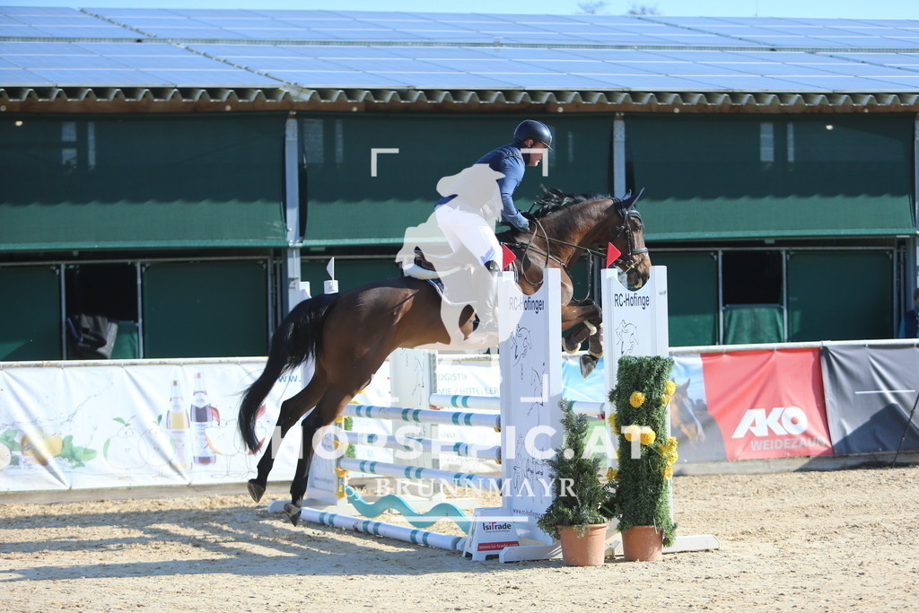 DL2Q7666 | Willkommen bei Brunnmayr - Design & Fotografie – Ihrem Spezialisten für Reitturniere und Pferdeveranstaltungen in Oberösterreich, Salzburg und Bayern! Seit über 17 Jahren sind wir leidenschaftlich dabei.