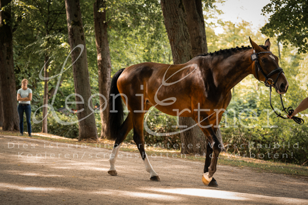 FrPfM00014 | Leoni Ertmer Photography - Realisiert mit Pictrs.com