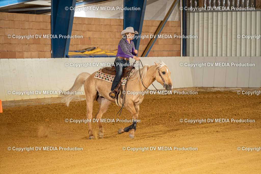 MIT01382 | dv-media-shop - Realisiert mit Pictrs.com