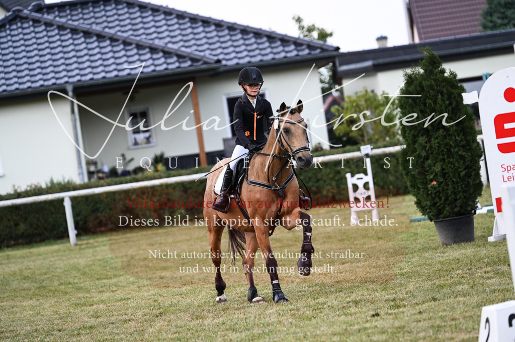 DSC_5604 | Pferde- und Turnierfotografie in Westsachsen. Pferdeportraits, Auftragszeichnungen und intuitive Kunst.