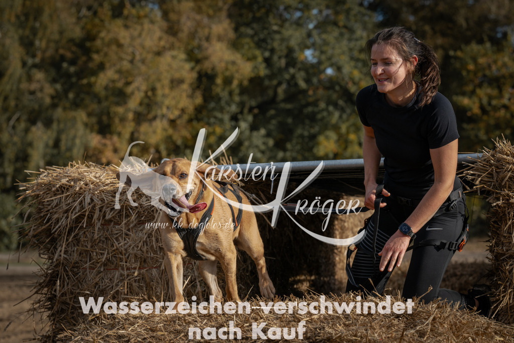 1032_ZZ98670 | kk-dogfotos