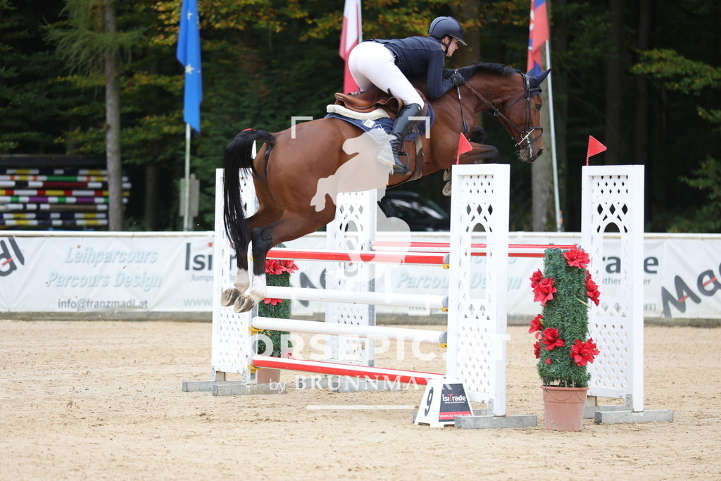 0P6A1718 | Willkommen bei Brunnmayr - Design & Fotografie – Ihrem Spezialisten für Reitturniere und Pferdeveranstaltungen in Oberösterreich, Salzburg und Bayern! Seit über 17 Jahren sind wir leidenschaftlich dabei.