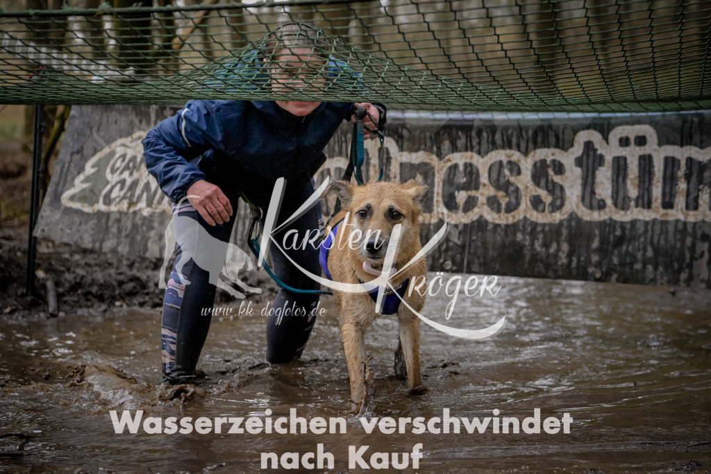0947_ZZ98309 | kk-dogfotos