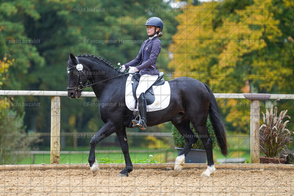 20221008-FAH01531 | Diessen am Ammersee, 2022, Dressur- und Springturnier, Reitsportbilder, Turnierfotografen Bayern, Pferdefotografen, Fotoagentur Herrmann, Turnierbilder