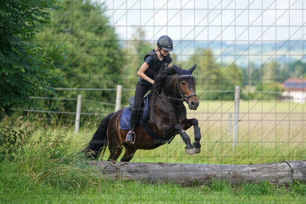 20240622-FAH07917 | Turnierfotografen Bayern, Reitsportbilder aus dem Geländekurs mit Felix Etzel auf dem Gut Waitzacker 2024