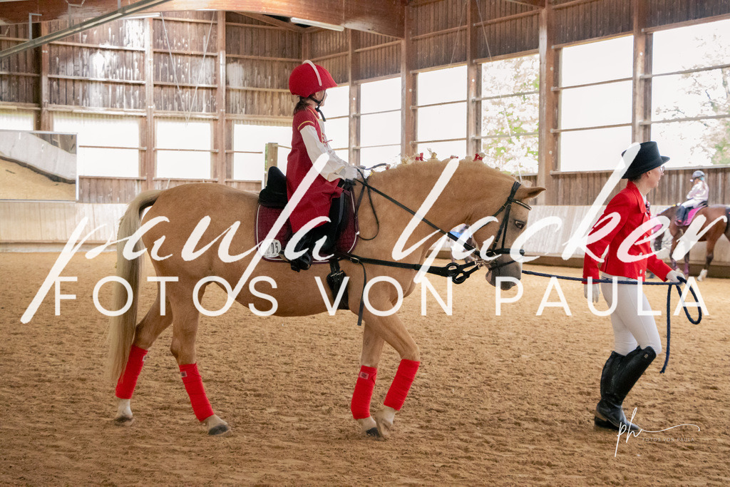 IMG_4643 | Erleben Sie dynamische Sport- und emotionale Tierfotografie in Süddeutschland mit Fotos von Paula. Spezialisiert auf Pferde- und Hundefotografie sowie Sportevents. Kontaktieren Sie mich für einzigartige und ausdrucksstarke Bilder Ihrer besonderen Momente. - Realisiert mit Pictrs.com