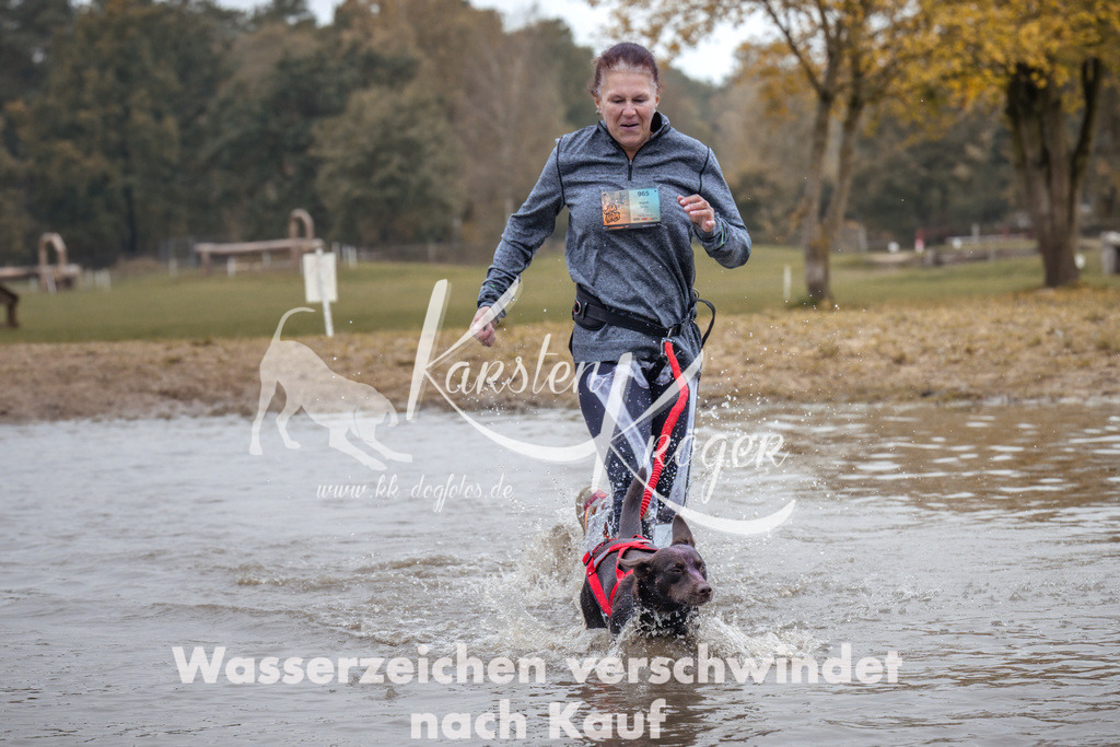 1344_ZZ94813 | kk-dogfotos