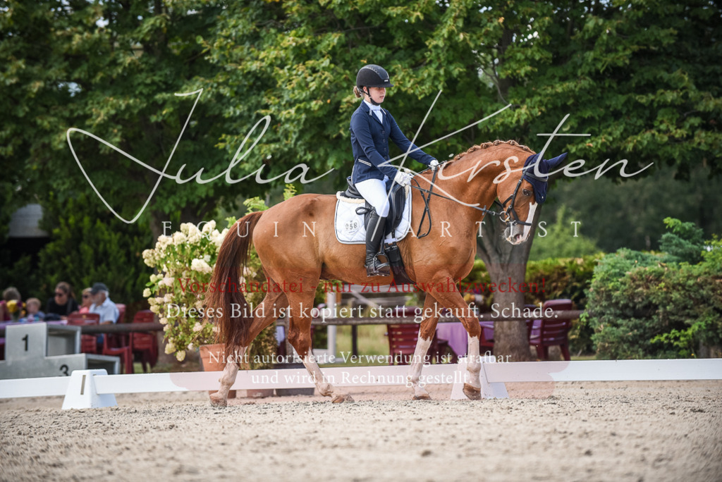 DSC_9375 | Pferde- und Turnierfotografie in Westsachsen. Pferdeportraits, Auftragszeichnungen und intuitive Kunst.