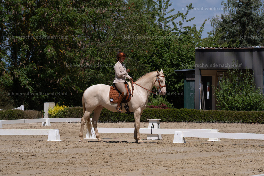 WS_DR_69_sinafilmart_IN02494 | working equitationturnier fotograf videograf stoibphotography marixx film working equitation deutschland reitsport turnierfotografie eventfotografie equestrian events