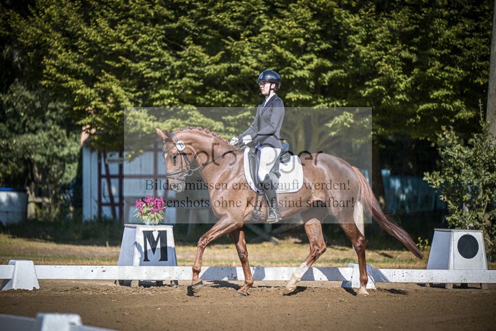 DOS_2135 | Entdecke hochwertige Reitturnierfotos von Foto Oger. Professionell, emotional und authentisch – jetzt Lieblingsmomente im Shop bestellen.Deutschlandweite Turnierfotografie. - Realisiert mit Pictrs.com