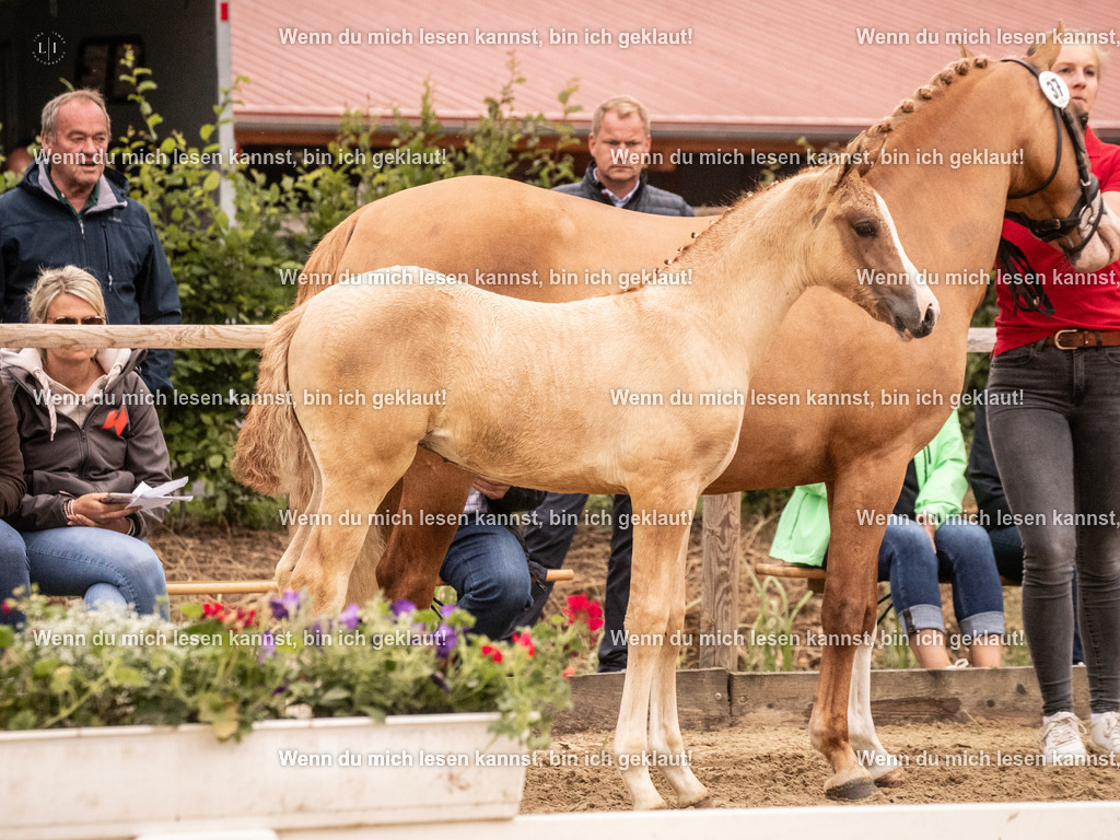 A10I2855 15.56.13 | photographylinaismer - Realisiert mit Pictrs.com