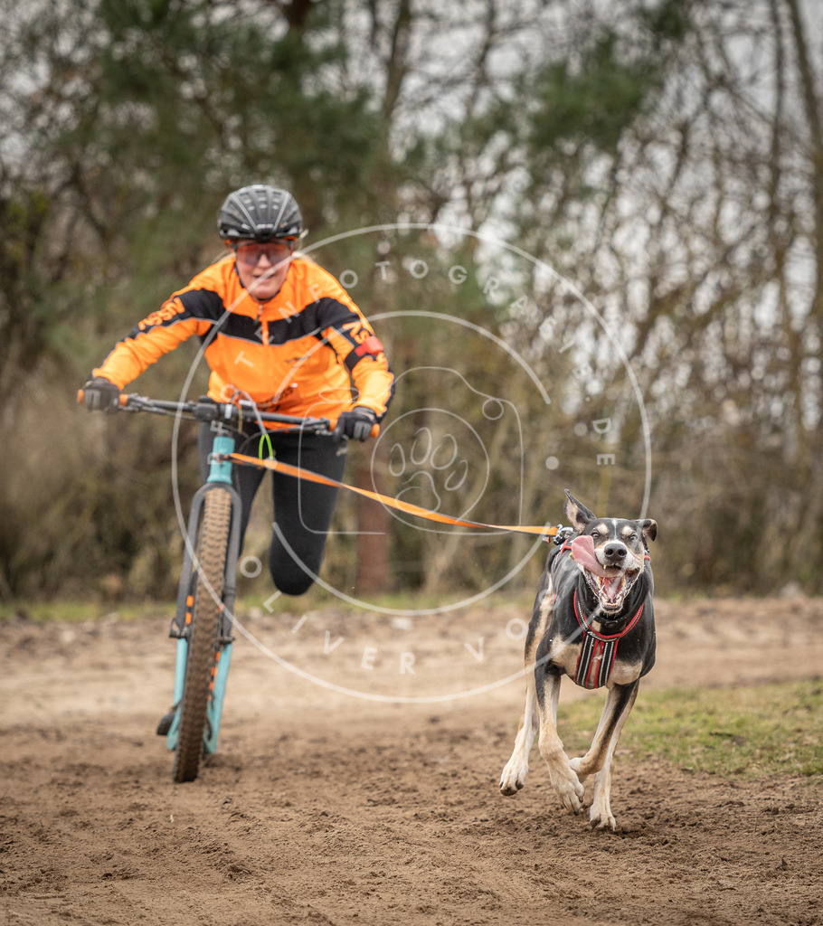 Pfotenfotografie_DV3A9732 | Hundefotografie, Tierfotograf, Pfotenfotografie, Fotoshooting Hund, Hunde Portrait, Hundesport, Hundeportraits, Heideshooting, Hunde, Sportfotograf, Hundefotograf, Turnierhundsport, THS,  - Realisiert mit Pictrs.com