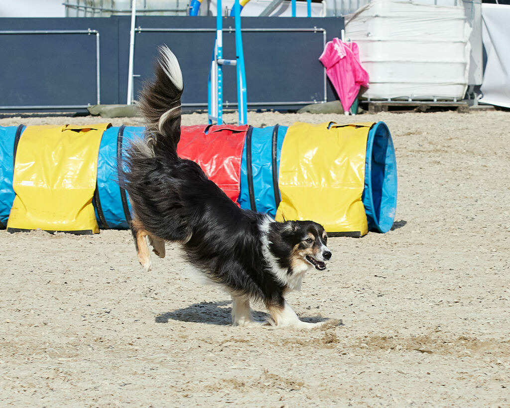 580B0085 | Peter Fridle Fotografie - Realisiert mit Pictrs.com