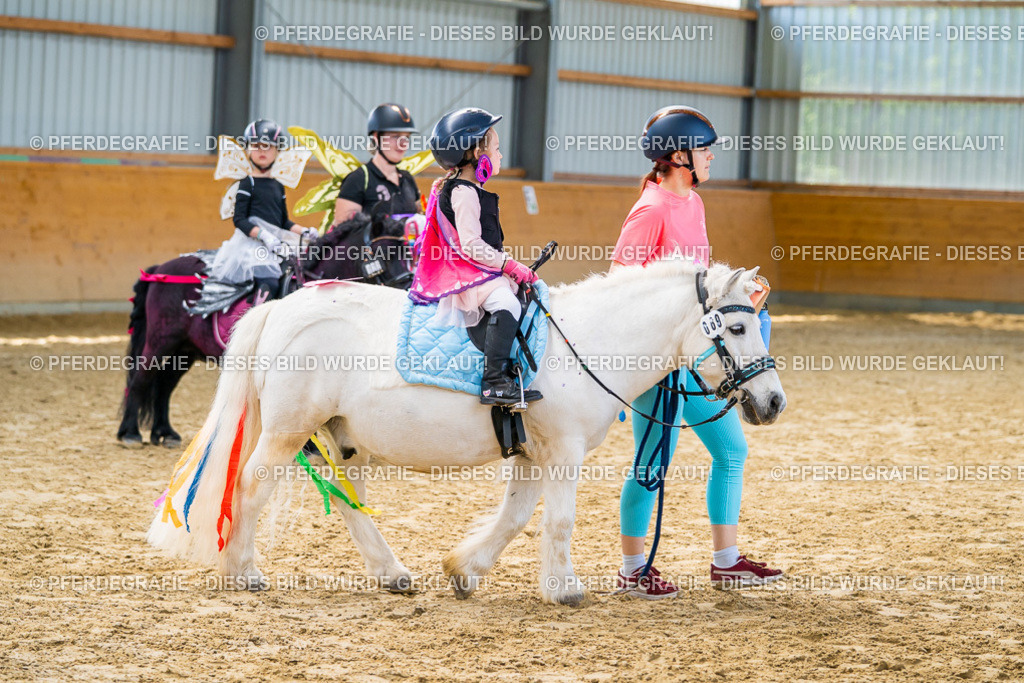 DSC00382 | Pferdegrafie