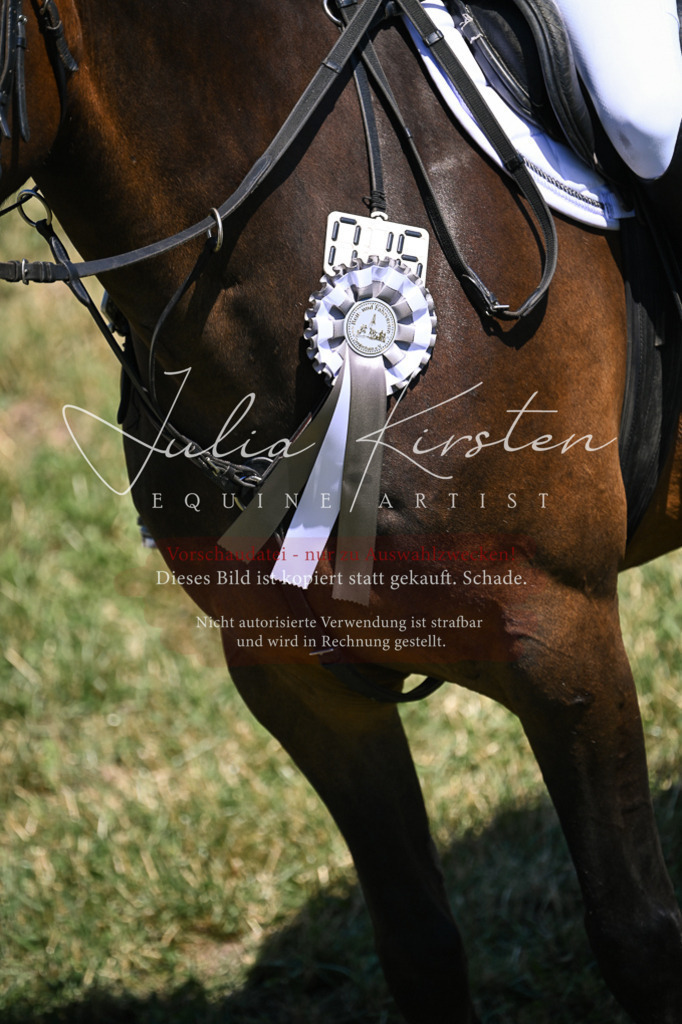 DSC_0056 | Pferde- und Turnierfotografie in Westsachsen. Pferdeportraits, Auftragszeichnungen und intuitive Kunst.
