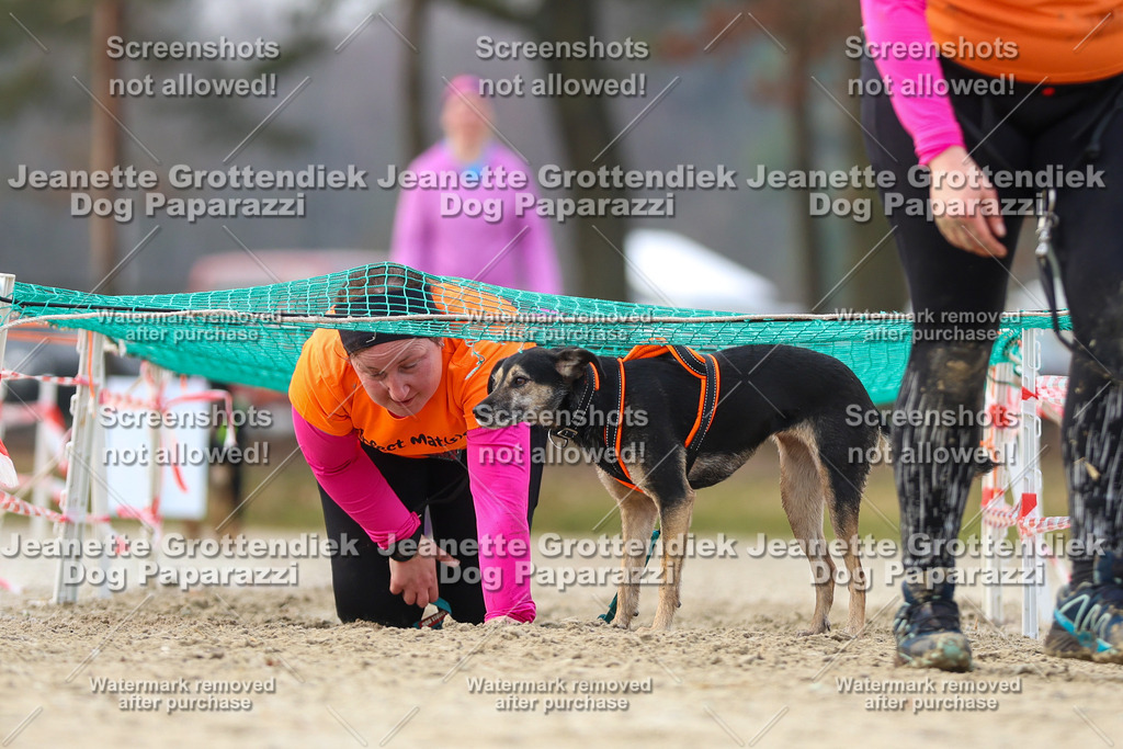 Dog Paparazzi - Strongdog North Mrz26-4285 | Dog Paparazzi Jeanette Grottendiek Fotografie & Videografie - Realisiert mit Pictrs.com