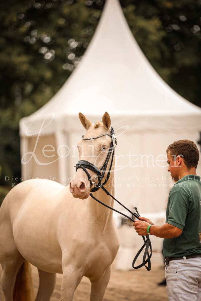 10.So00122 | Leoni Ertmer Photography - Realisiert mit Pictrs.com