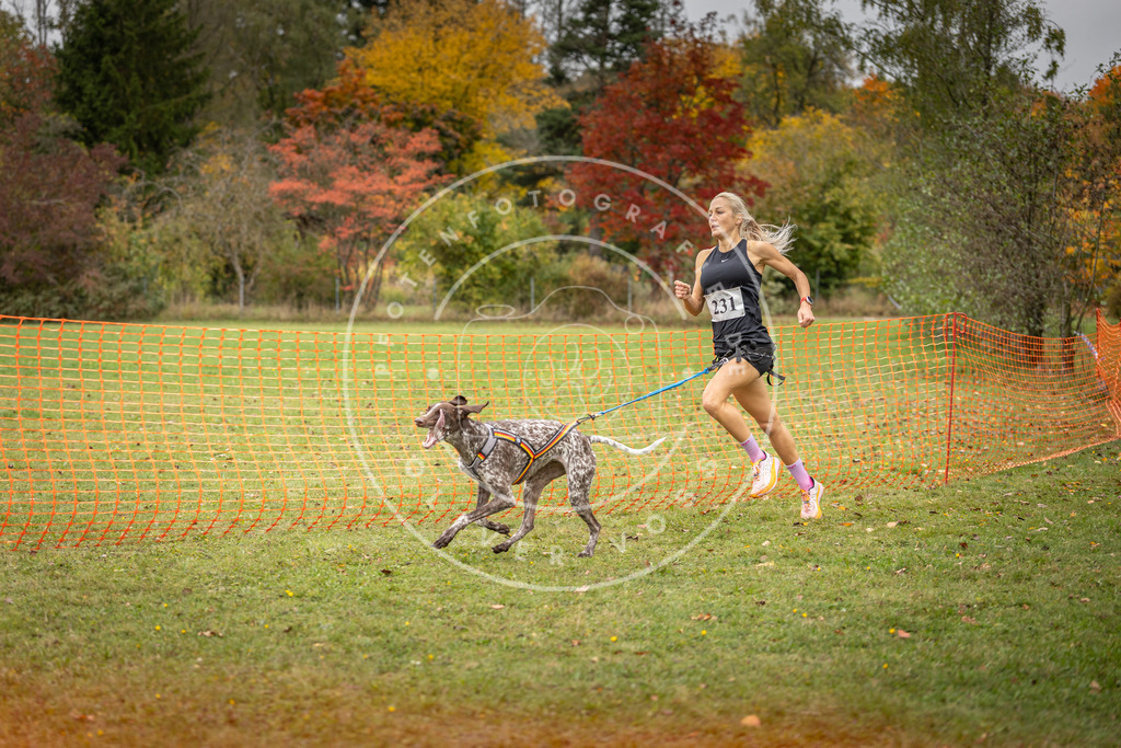 Pfotenfotografie_DV3A4481 | Hundefotografie, Tierfotograf, Pfotenfotografie, Fotoshooting Hund, Hunde Portrait, Hundesport, Hundeportraits, Heideshooting, Hunde, Sportfotograf, Hundefotograf, Turnierhundsport, THS,  - Realisiert mit Pictrs.com