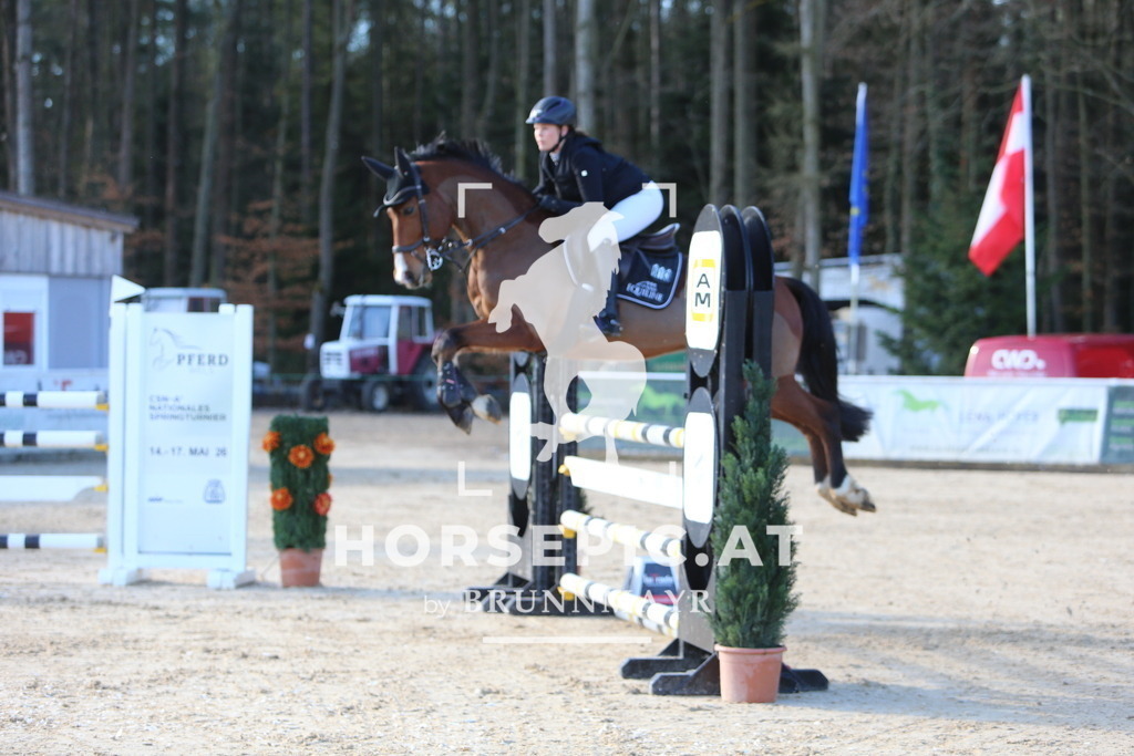 DL2Q3710 | Willkommen bei Brunnmayr - Design & Fotografie – Ihrem Spezialisten für Reitturniere und Pferdeveranstaltungen in Oberösterreich, Salzburg und Bayern! Seit über 17 Jahren sind wir leidenschaftlich dabei.