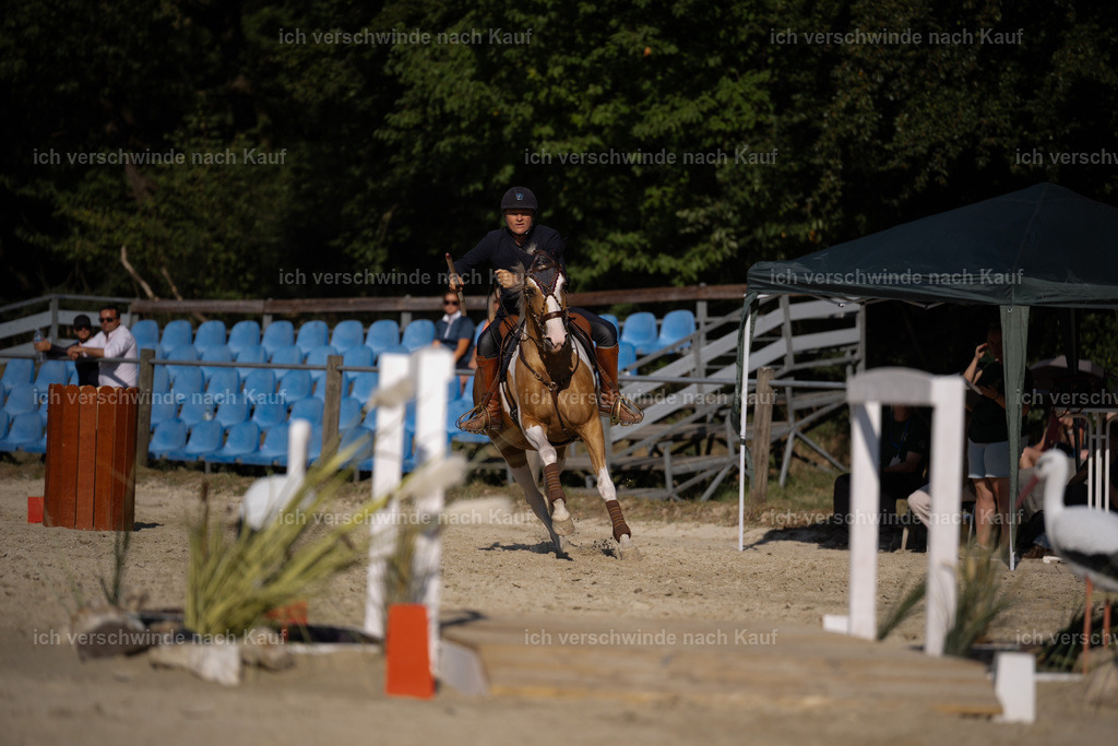 WS_SP_122_Stoibphotography_SO12160 | working equitationturnier fotograf videograf stoibphotography marixx film working equitation deutschland reitsport turnierfotografie eventfotografie equestrian events