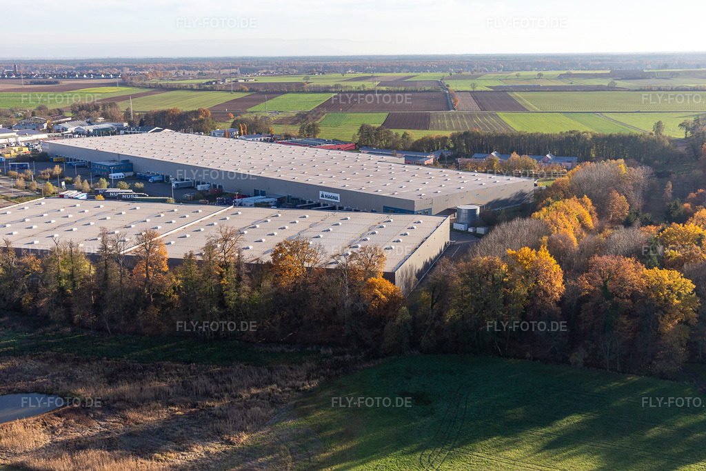 Luftbild: Gewerbegebiet Horst mit Magna Exteriors, Zufall Logistics, STS Group und Thermo Fisher im Ortsteil Minderslachen in Kandel im Bundesland Rheinland-Pfalz in Deutschland. Foto: IMG_123944.jpg vom 21.11.2020 durch Werner Riehm/FLY-FOTO.de