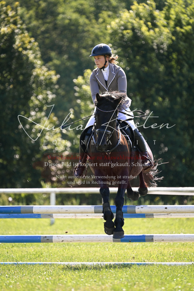 DSC_8794 | Pferde- und Turnierfotografie in Westsachsen. Pferdeportraits, Auftragszeichnungen und intuitive Kunst.