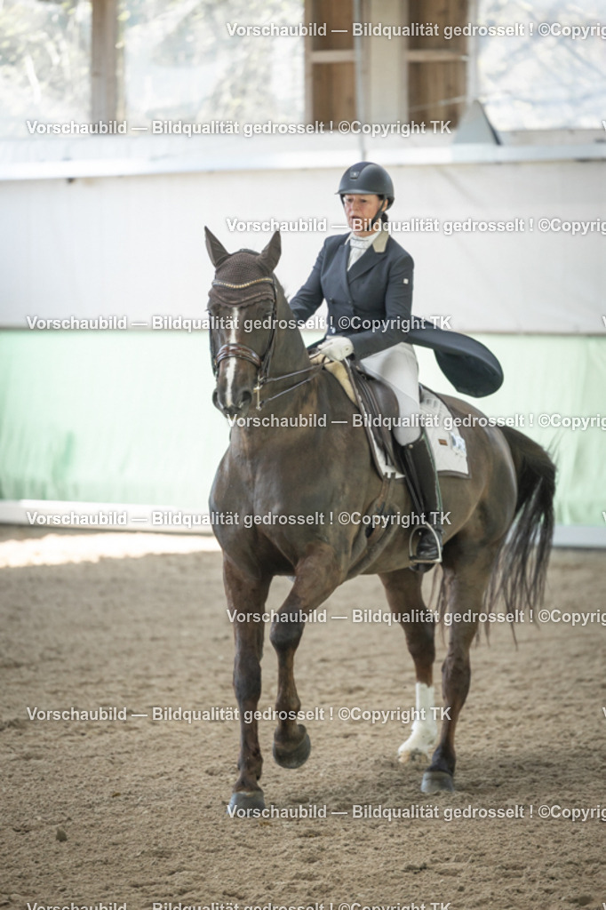 _D5A1842 | Emotionale Pferde- & People-Fotografie rund um Heidelberg, Leimen & Umgebung. Natürliche Fotos von Pferd, Mensch & Familie. Jetzt Termin sichern!